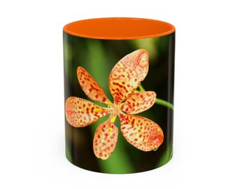 Accent Coffee Mug (11, 15oz) | "Leopard lily "  blooming flower in the tropical nature , Belamcanda chinensis