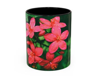 Accent Coffee Mug (11, 15oz) | Jatropha integerrima blooming flowers in the tropical nature | Rolled Posters | Real photography, not from AI