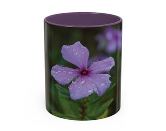 Accent Coffee Mug (11, 15oz) | Madagascar periwinkle blooming flowers in the tropical nature, Catharanthus roseus