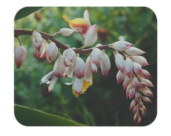 Mouse pad: Alpinia zerumbet flowers