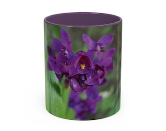 Accent Coffee Mug (11, 15oz) | Spathoglottis unguiculata blooming flowers in the tropical nature, Purple orchid | Real photography