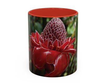 Accent Coffee Mug (11, 15oz) | Torch ginger flower, Etlingera elatior , real photography, not from AI