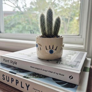 May include: A green cactus with three stems planted in a cream-coloured ceramic pot featuring a hand-painted blue eye design with black eyelashes. The pot sits on top of a white book titled Plant Style by Alana Langan and Jacqui Vidal of Ivy Muse.