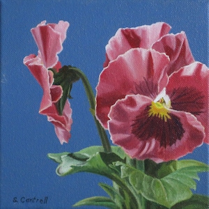 Pansy Still Life Original Oil Painting