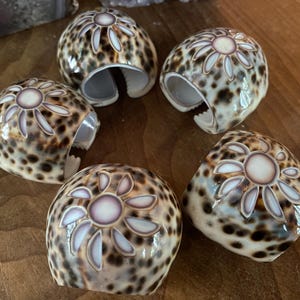 May include: Five decorative seashell napkin rings. Each ring is a speckled brown and cream color with a floral design in the center. The napkin rings are arranged on a wooden surface.