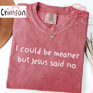 May include: A dusty rose-colored t-shirt with the text "I could be meaner but Jesus said no" in white. The shirt has a crew neck and short sleeves. A silver necklace with a small pendant rests on the shirt.