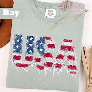 Pu&ograve; includere: Una maglietta verde chiaro con la scritta "USA" applicata sul davanti con un design a bandiera americana invecchiata. La maglietta ha un girocollo e maniche corte. Una collana d'oro &egrave; drappeggiata sulla maglietta.