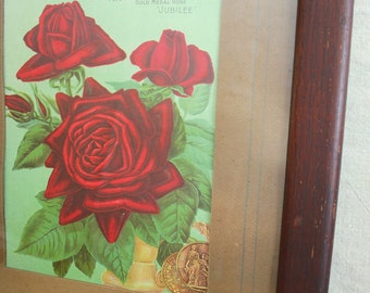 Antique Botanical Chromolithograph Print of Red Roses in Oak Frame    Sale was 67.00
