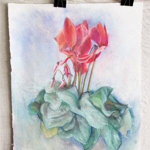 Puede incluir: Un dibujo pastel de un grupo de flores de ciclamen rosas con hojas verdes sobre un fondo blanco.