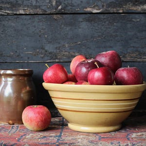May include: A still life featuring a yellow and brown striped bowl filled with red apples. A brown ceramic jar sits to the left of the bowl, and a single apple rests in front. The background is a dark, weathered wooden wall.