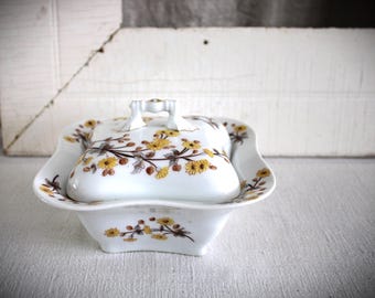 Mantequera antigua de porcelana Carlsbad Marx & Gutherz de Austria con tapa, diseño de flores amarillas de 1808.
