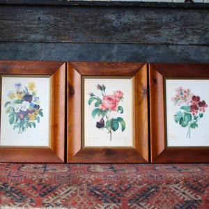 3 Vintage Lithograph Floral Botanical Prints in Frames P J Redoute The Most Beautiful Flowers