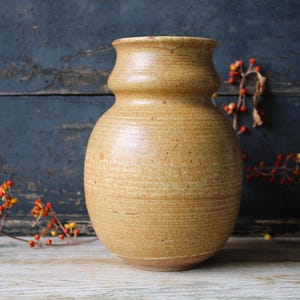May include: A round, golden-tan ceramic vase with a wide, bulbous body and a narrow, flared neck. The surface features a textured, speckled finish with visible horizontal wheel-thrown lines, showcasing a natural, earthy appearance throughout.