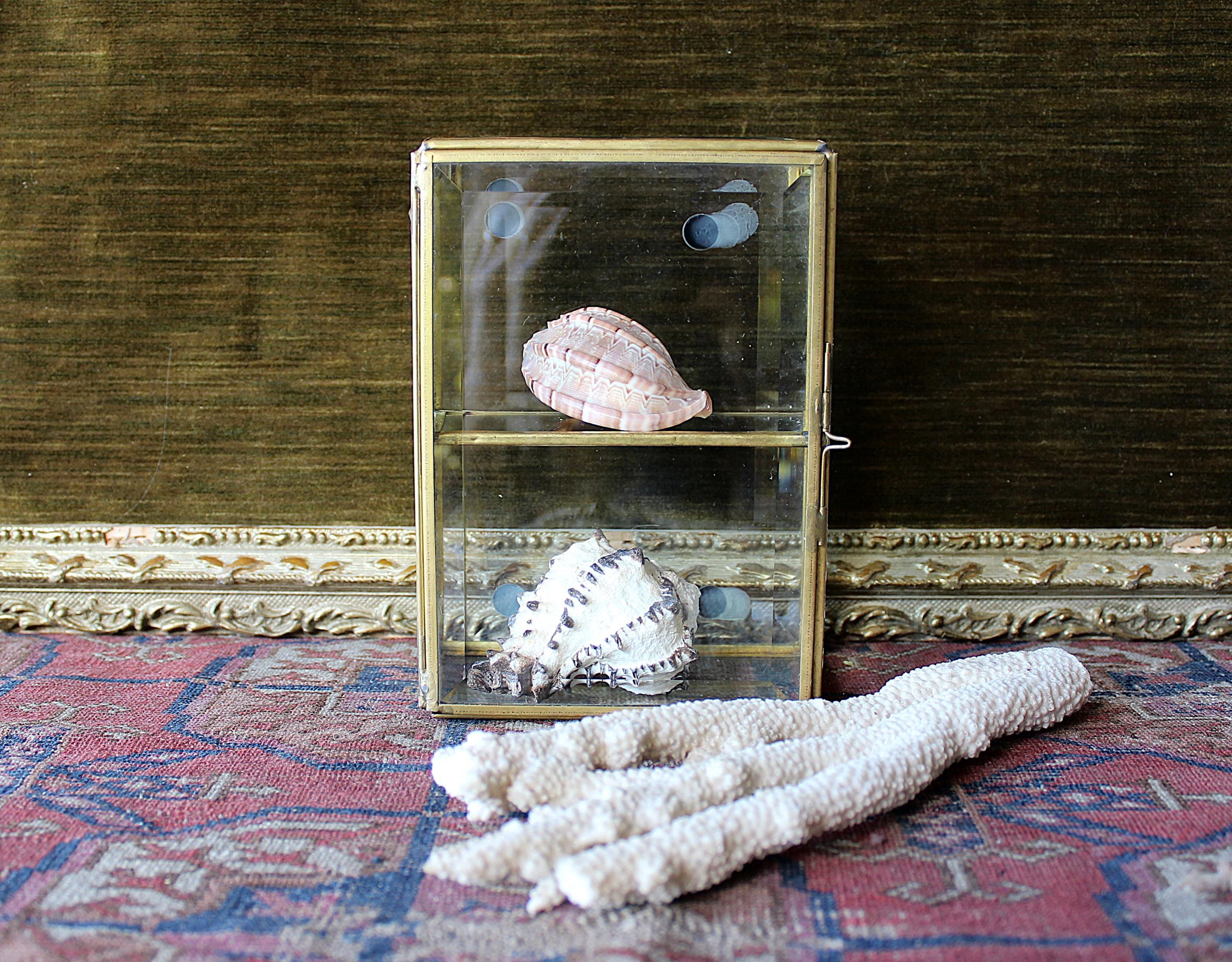 Glass Curio Box - Etsy