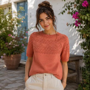 May include: A short-sleeved, terracotta-colored knit sweater featuring a round neckline and a decorative, intricate lace-like pattern across the upper chest and shoulders, finished with ribbed trim at the collar, sleeves, and hemline.