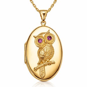 May include: Gold-toned owl pendant necklace. The oval locket features a detailed owl design with purple gemstone eyes, perched on a branch. The necklace has a delicate chain and a secure clasp.