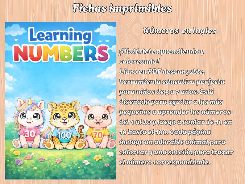Learn Numbers in English - Etsy