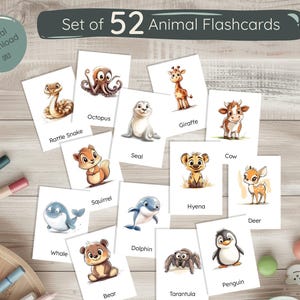 Animal Flashcards for Kids | 52 Cards with Names + Habitat Sort Game | Montessori Printable PDF JPEG | Preschool Learning Cards
