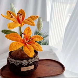 かぎ針編みの蘭の植木鉢、手編みの蘭の植物、永遠の花の装飾、机やテーブルの装飾、新築祝いの贈り物、女性への贈り物