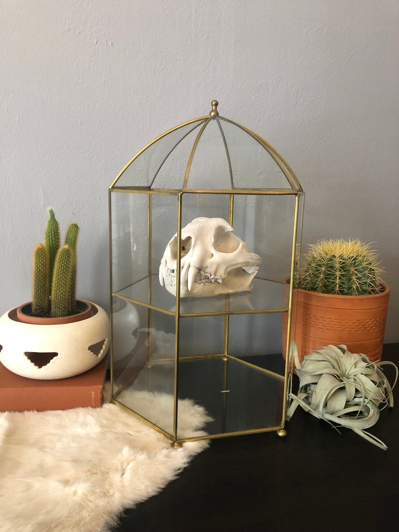Vintage Large Brass And Glass Greenhouse Style Display Case Etsy
