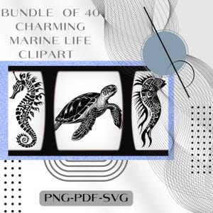 Sea Creatures SVG Bundle – Whale Shark, Seahorse, Octopus, Jellyfish, Stingray, Sea Turtle, Seagull, Pelican, Seaweed Clipart, Möwe SVG
