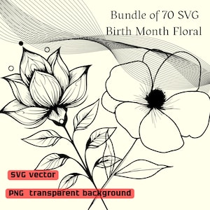 Birth Month Floral Bundle SVG: Wildflowers, Minimalist Floral Line Art, Daisy Bouquet, Monogram Design, Single Daisies, floral arrangement