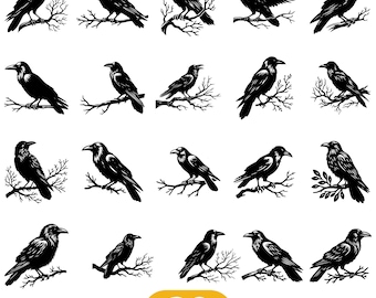 F-Caw-F Png, schwarze Krähe F-Caw-F Png, lustiger schwarzer Vogel Png, Krähe Png, Rabe Png, digitaler Download, Sofort-Download