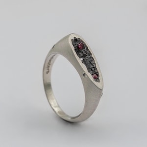 Puede incluir: Un anillo de tono plateado con una banda lisa y cónica, y una incrustación texturizada de color gris oscuro en la parte superior. La incrustación presenta dos pequeñas piedras preciosas redondas de color rojo oscuro y una piedra negra.