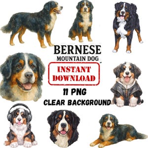 Berner Sennenhund Clipart, Digitaler Download, Süße Hunde Illustration PNG, druckbare Welpenkunst zum Basteln & Scrapbooking