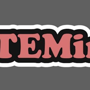 STEMinist Sticker