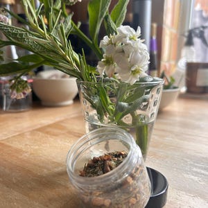 Green Witches Cleanse Incense