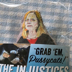 Cat Toy: The Injustices &quot; Rush Job Amy&quot;