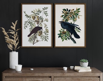 Audubon Raven and Crow Wooden Framed Print Set of 2 - Raven Prints, Vintage Crow Posters, Bird Decor, Bird Wall Art, Crow Wall Art