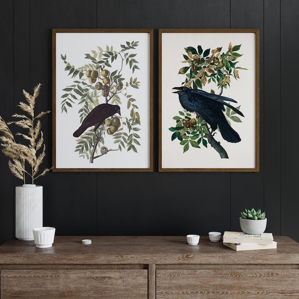 Set di 2 stampe con cornice in legno Audubon Raven and Crow - Stampe di corvo, poster vintage di corvo, decorazioni con uccelli, decorazioni da parete con uccelli, decorazioni da parete con corvo