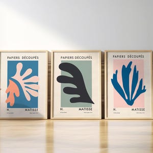 Henri Matisse Inspired Exhibition Wooden Framed Set of 3 | Warm Terracotta | Nu Bleu, La Gerbe, La Sirene