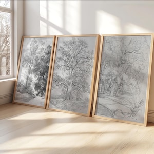 Set di 3 stampe su tela con cornice in legno, stampa di schizzi di alberi di quercia, opera d'arte vintage neutra, moderna fattoria biologica in stile country