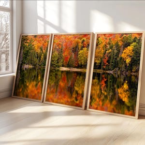 Bellissimo paesaggio autunnale, vista della foresta autunnale, set di 3 foto di paesaggi autunnali in legno, decorazione da parete extra large, poster autunnale.