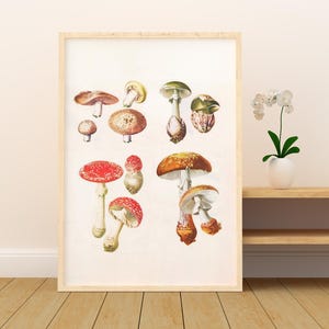 Lámina artística de hongos, ilustración botánica, póster de hongos, arte mural de hongos, vivero forestal, hongos de acuarela, impresión vintage de otoño