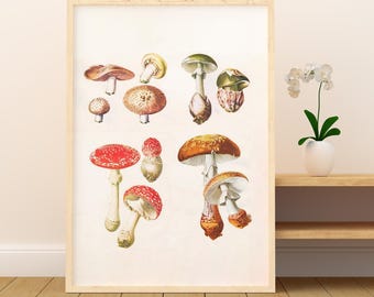 Svampkonsttryck, botanisk illustration, svampposter, svampväggkonst, skogsbarnrum, akvarellsvampar, höstvintagetryck