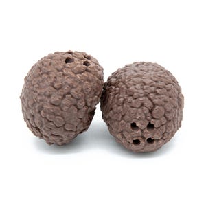 Tartufi Finti effetto legno per Addestramento Cani | Contenitori per Olio di Tartufo | Addestramento Olfattivo Cane da Tartufo Effetto Legno
