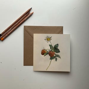 Lot de dix cartes de voeux, fraises, beaux-arts, design original dessiné à la main, imprimée sur papier fin mohawk