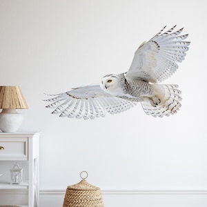 Könnte beinhalten: Ein Schneeeule im Flug vor weißem Hintergrund. Die Flügel der Eule sind ausgebreitet und zeigen weiße Federn mit schwarzen Markierungen. Die gelben Augen der Eule sind fokussiert. Das Bild suggeriert ein Natur- oder Wildtier-Thema.