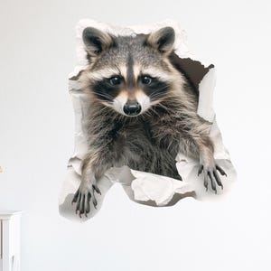 Peut inclure: Image réaliste d'un raton laveur émergeant d'une surface blanche déchirée. Le raton laveur a une fourrure grise et brune, un masque noir autour des yeux et regarde directement le spectateur. C'est un autocollant mural.