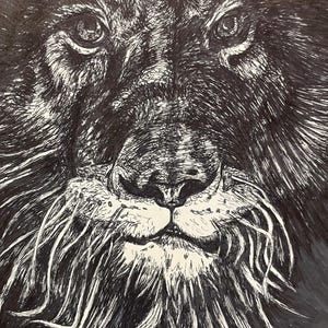 Lion In Darkness
