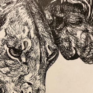 Lions In Love