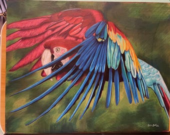 オウムの絵 | 5インチ×7インチのオリジナルアート | 色鉛筆アート