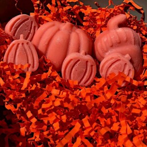 Zimt Duftende Kürbiswachs Melts