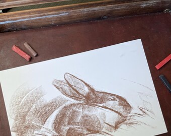 Rabbit Charcoal Drawing (original, Signed) - Etsy