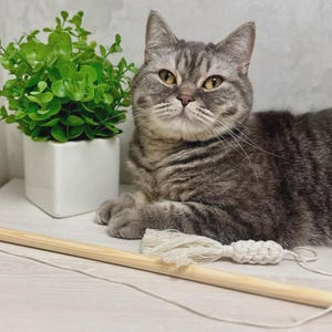 Handmade Pine Wood Cat Wand Toy: Personalized Cat Teaser