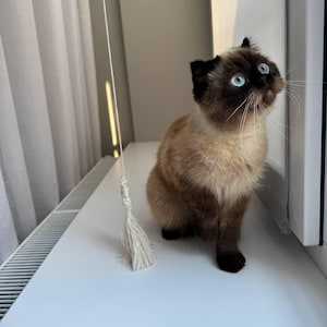Personalized Cat Toy Wand: Handmade Pine Wood Teaser with Cotton Rope